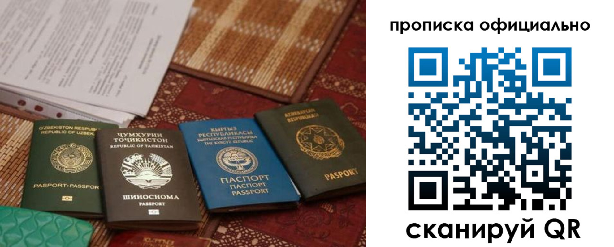 где прописаться в Курчалом